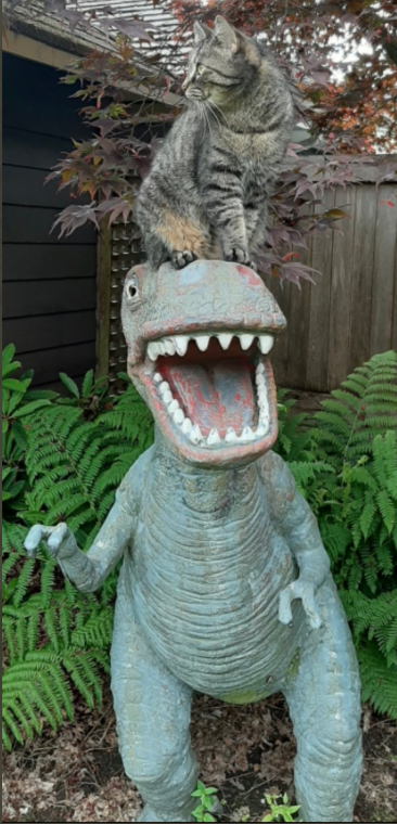 Burnaby RCMP says an 80-pound dinosaur statue was stolen from a North Burnaby, B.C. backyard and its owner would like it back.