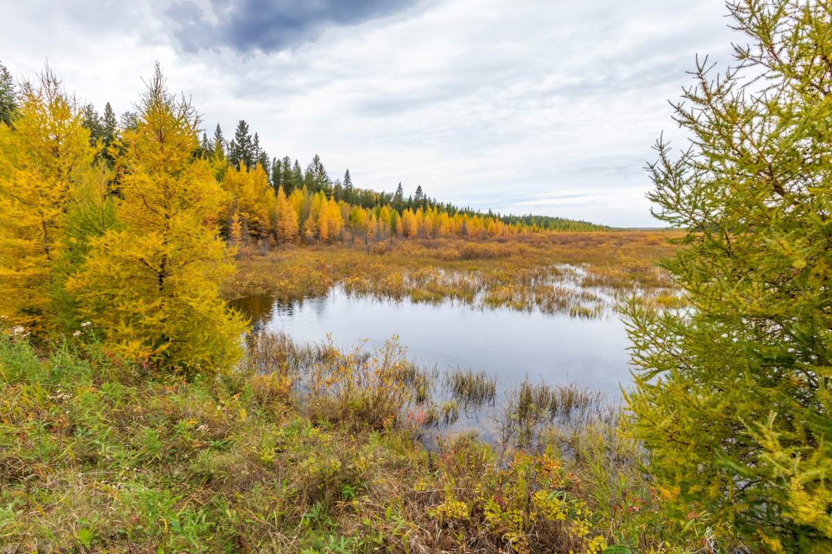 Bob Ferguson took this Your Saskatchewan photo in Prince Albert National Park.