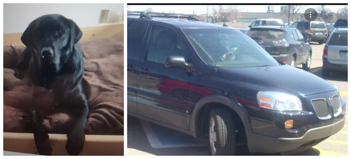 Buddy the black lab is missing after a van similar to this one was stolen Oct. 28, 2021. 