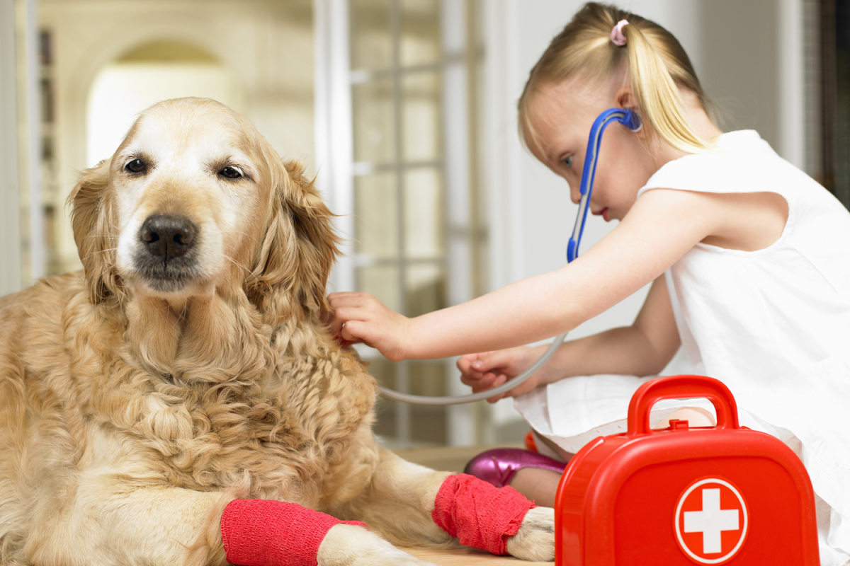 The humane society says kids will even get a chance to perform an exam.