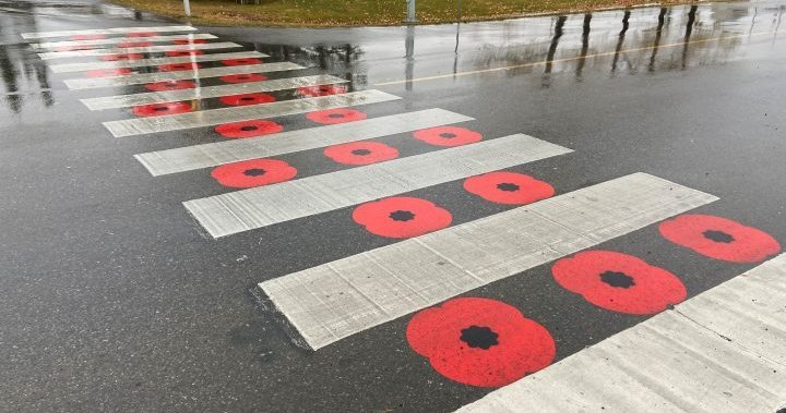 Royal Canadian Legion looks for alternatives after Chestermere’s poppy crosswalk deemed ‘disrespectful’