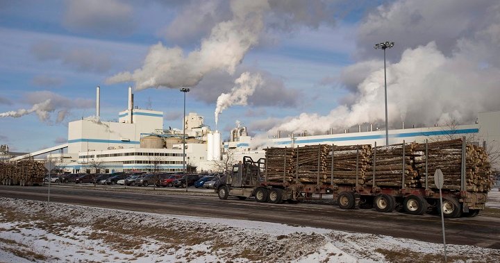 Two workers killed in scaffold collapse at Quebec paper mill identified
