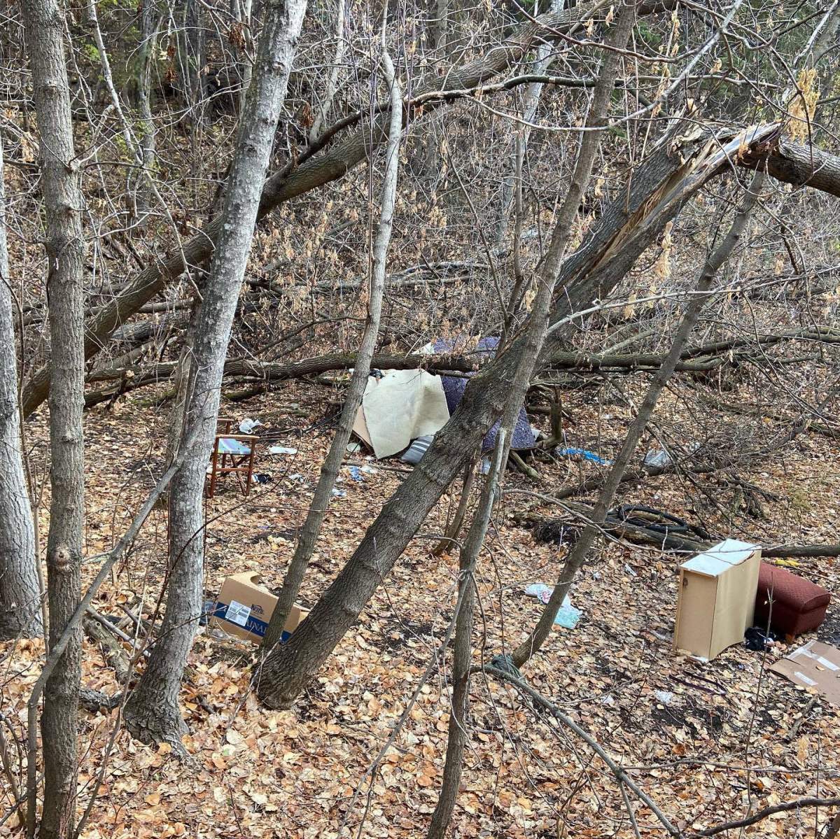 An abandoned homeless encampment in the Kinnaird Ravine in Edmonton's river valley. 