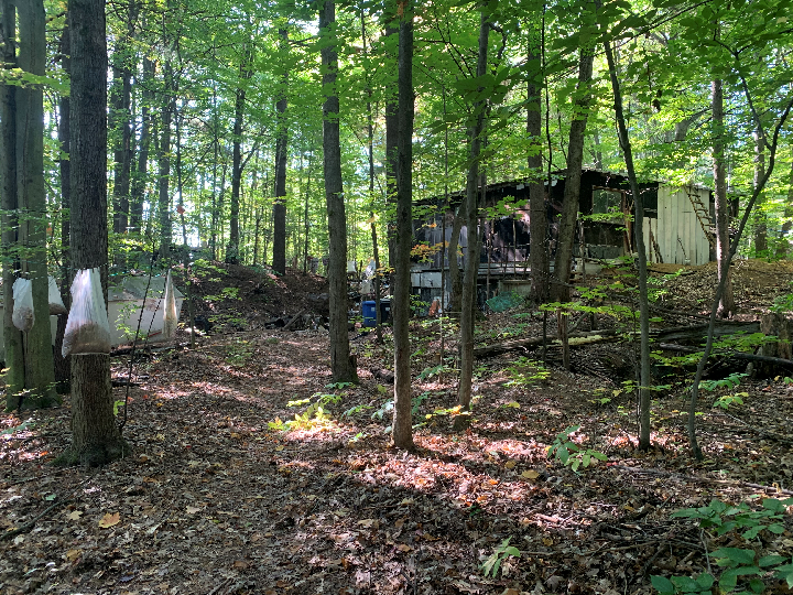 Mortensen’s home nestled in the woods on Wednesday Oct. 6, 2021.