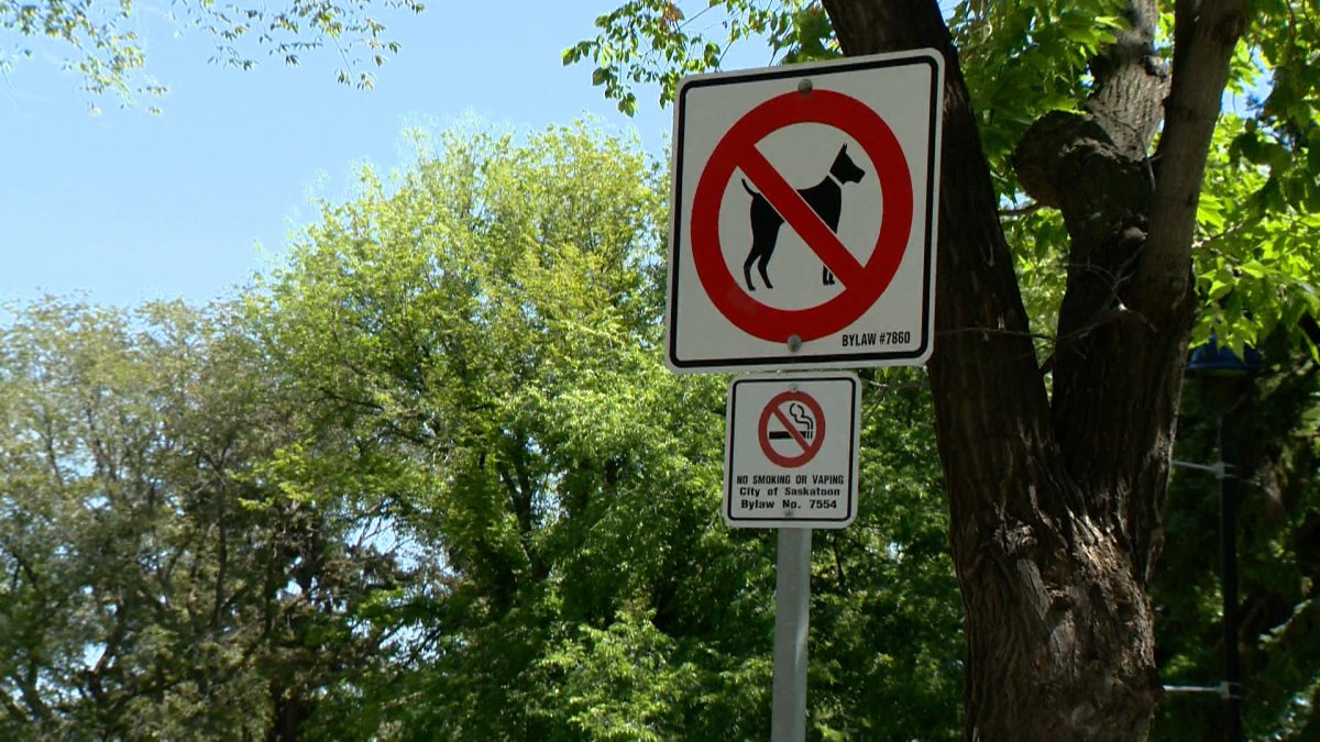 A report recommends changing a Saskatoon bylaw that prohibits pets in Kiwanis Memorial Park.