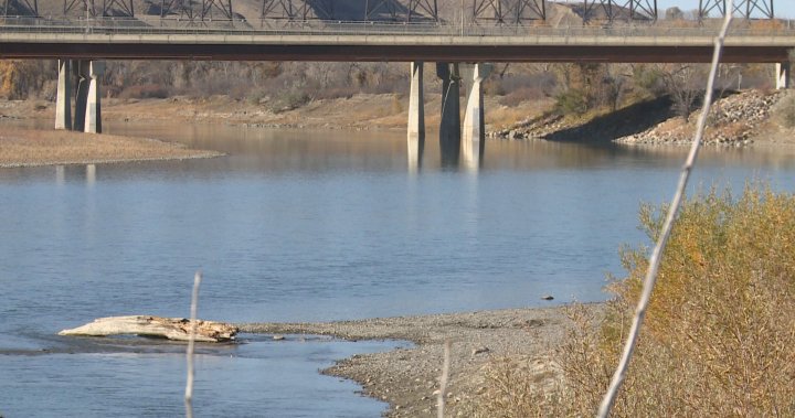 Oldman River’s low water levels adding stress to ecosystem: experts