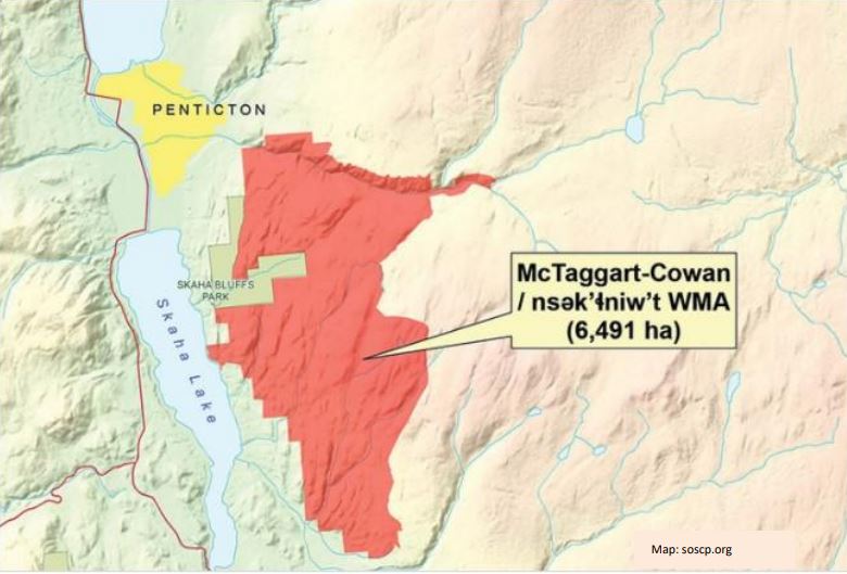 The Thomas Creek wildfire, first discovered on July 11, scorched more than 10,000 hectares of land northeast of Okanagan Falls. .