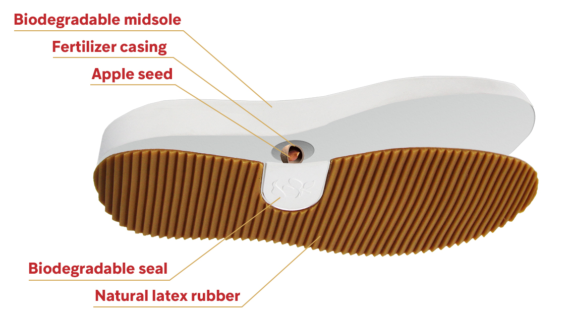 A breakdown of ‘Johnny’ footwear, showing where the apple tree seed is housed. The seed is released into the earth, once the shoe is planted and begins the biodegradation process.