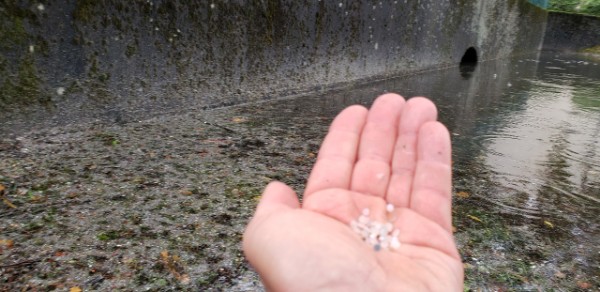 A member of the Sufrider Foundation Canada shows off a handful of plastic pellets in front of the Audley Canal. 