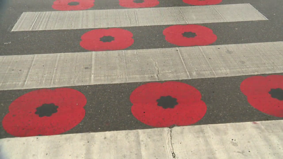 The poppy crosswalk in Chestermere.