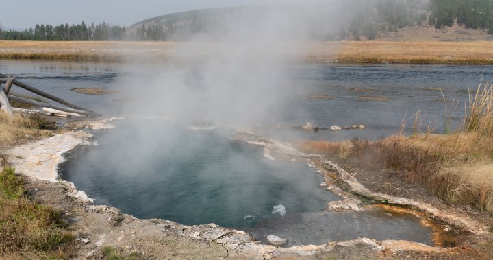Woman suffers severe burns after trying to rescue dog from thermal pool at Yellowstone Park