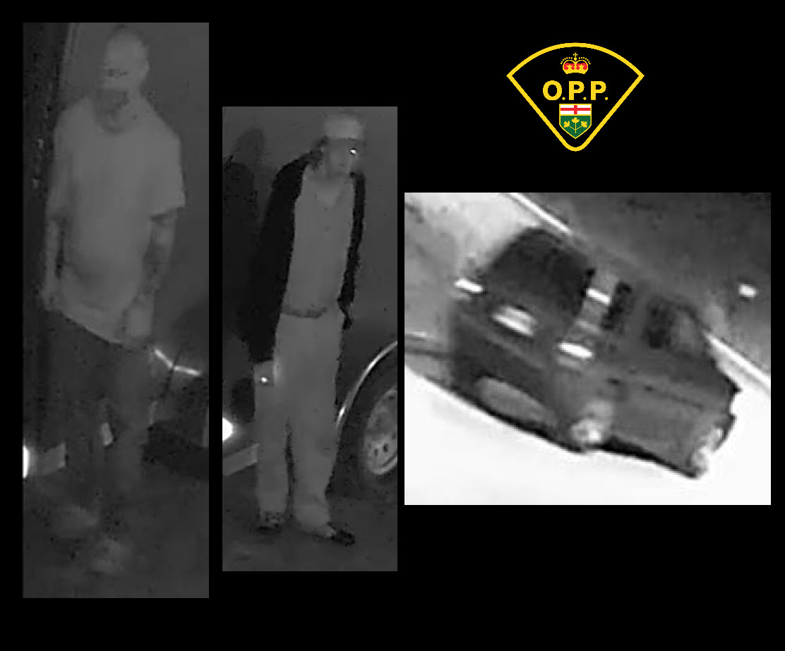 Qunite West OPP ask public for help with theft involving utility trailer - image