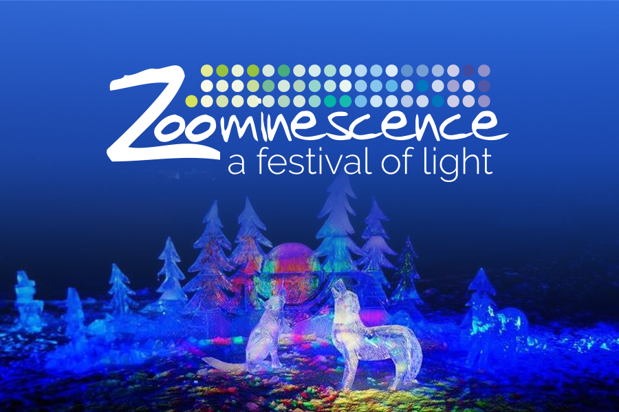 Global Edmonton and 630 CHED support: Zoominescence: A Festival of Light - image