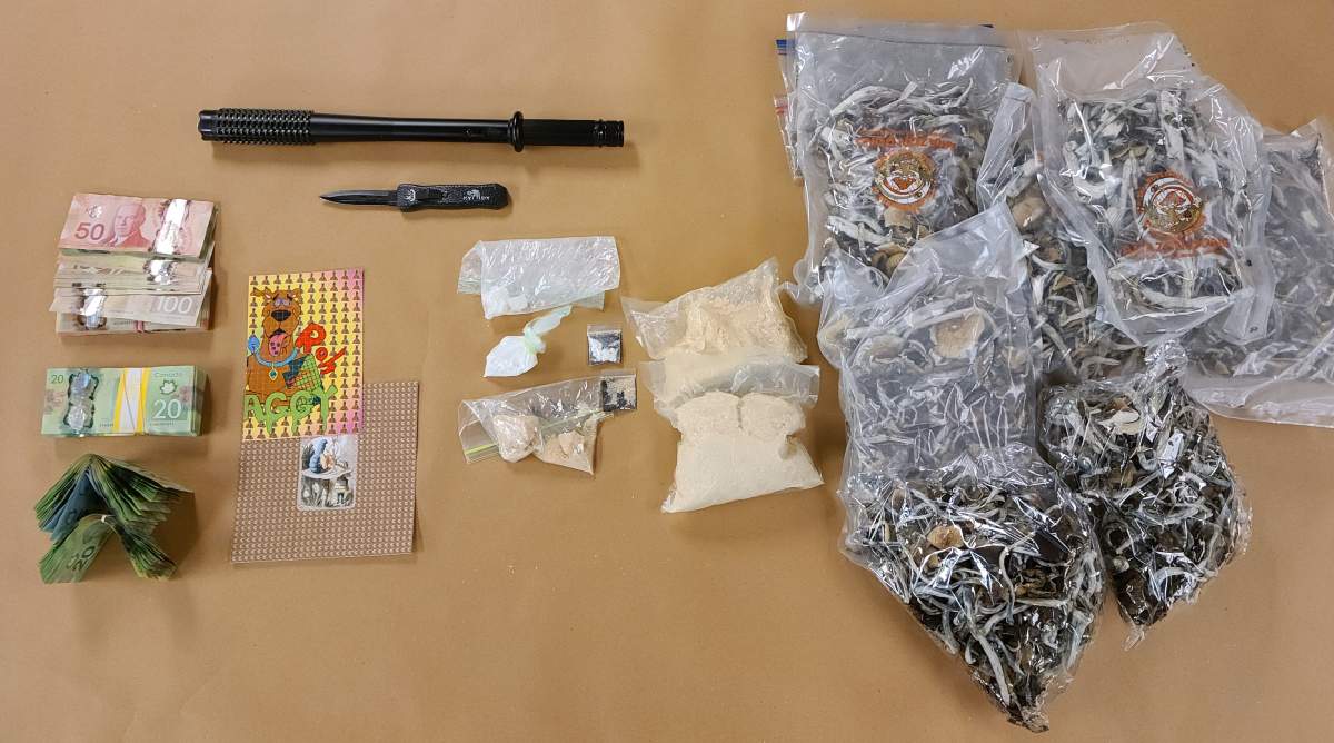 23-year-old charged, nearly $300K in drugs seized in northwest London bust: police - image