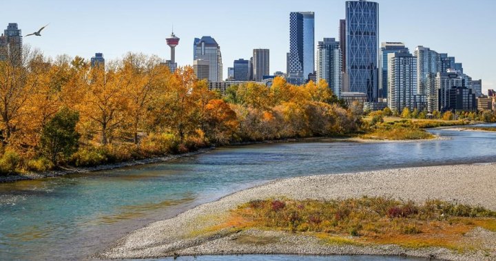Calgary pledges to make city safer for women by joining United Nations initiative