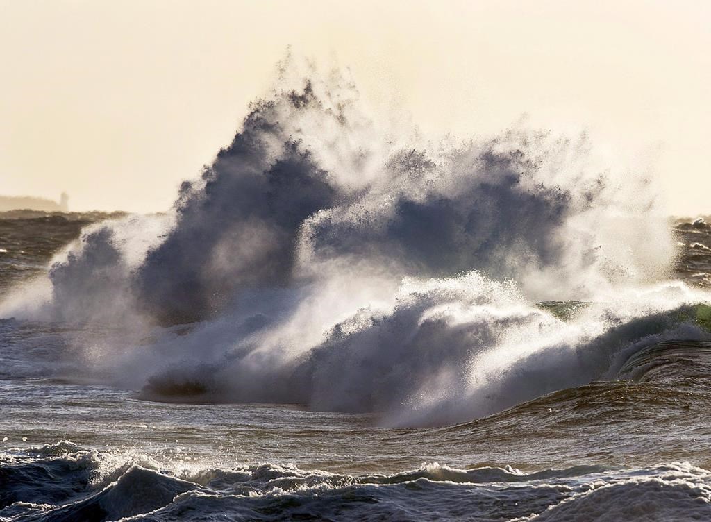 Aggressive winds, heavy rains forecasted for Maritimes on Monday: Environment Canada