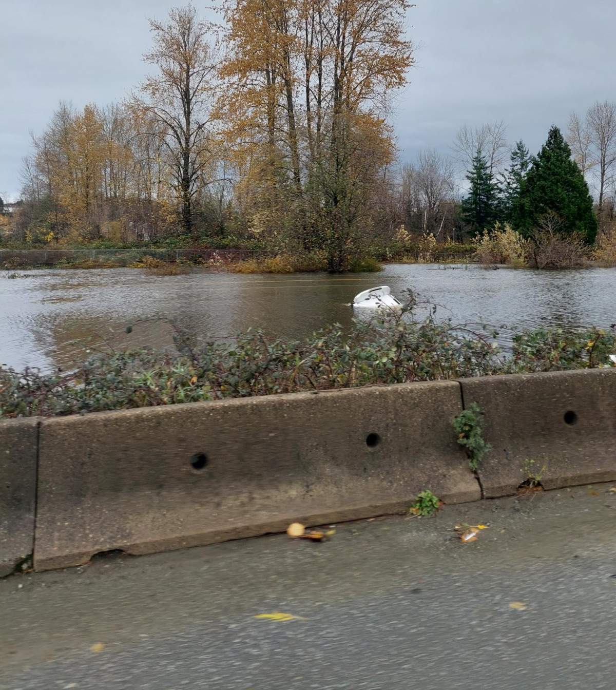 The back bumper of a car can be seen along flooded Livingstone Avenue in Abbotsford.