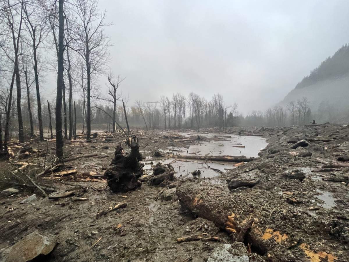 A photo of the landslide in Agassiz.