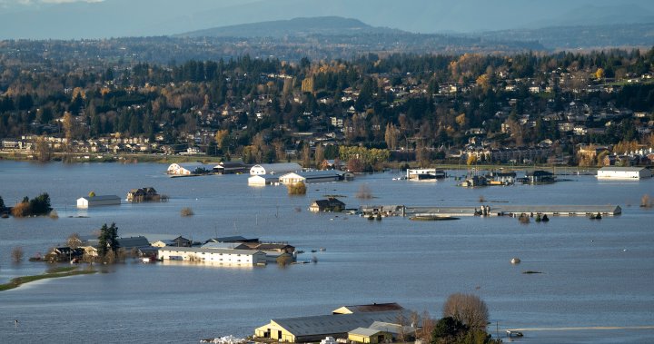 B.C. flooding: How will insurance companies manage as climate risks get worse?