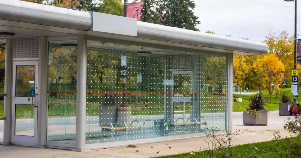 Beginning with bus shelters on campus, the University of Guelph is trying to protect birds from hitting windows by making the glass more visible. 