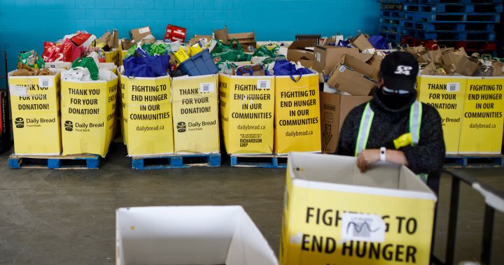Nearly 600,000 people accessed Ontario food banks in a year: report
