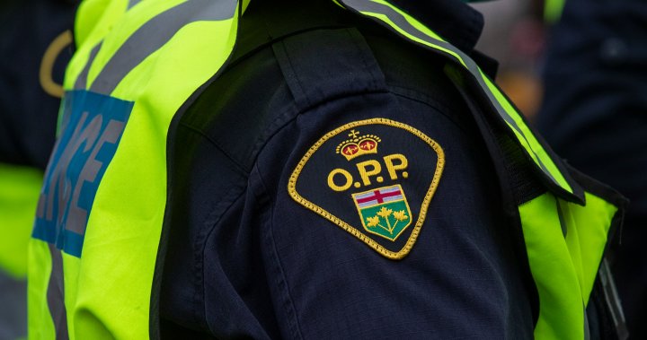 OPP investigating discovery of human remains in Zorra Township