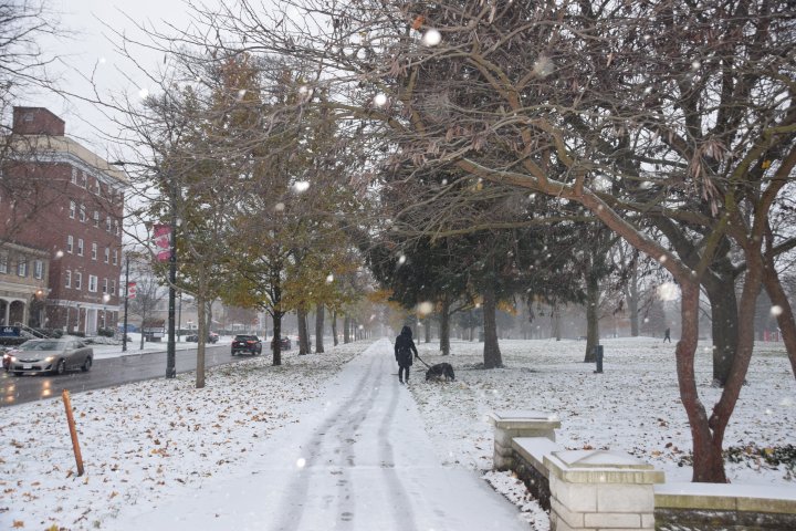 Snow and strong winds expected in London area and Middlesex County on Monday
