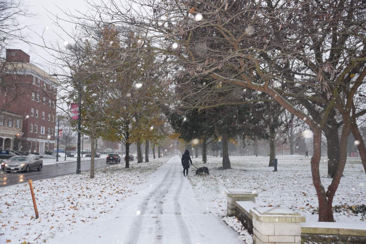 Snow falling in downtown London, Ont., on Nov. 26, 2021.