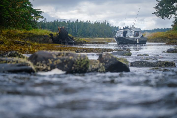 A Coastal Guardian Watchman boat lands on Kunsoot Creek in Heiltsuk Territory, B.C., to monitor the salmon run.