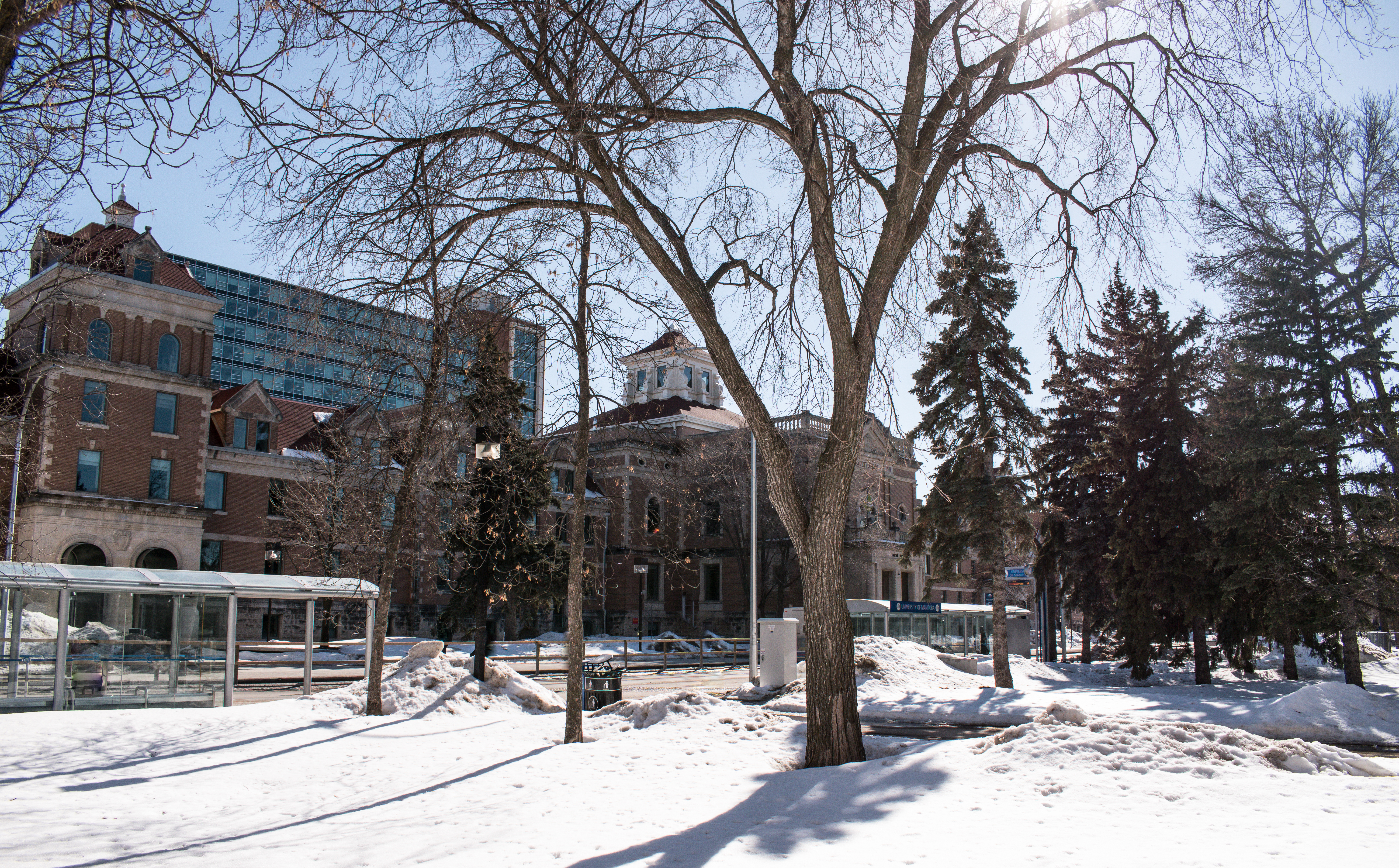 매니토바 대학(University of Manitoba)은 파업 종료 후 수업 일정을 확정해