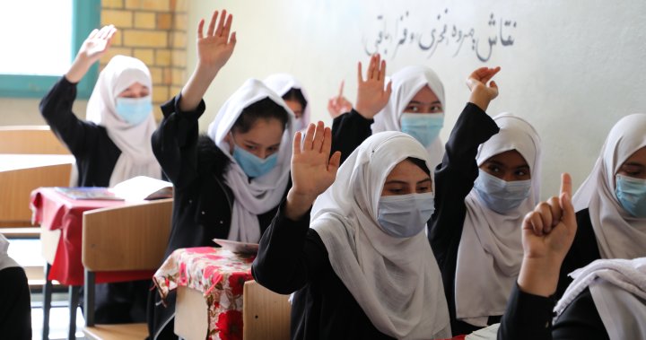 UNICEF working to directly fund Afghan teachers without Taliban interaction