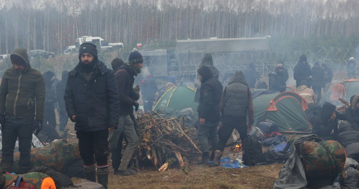 ‘Intolerable’ Poland-Belarus migrant crisis must end: UN human rights chief