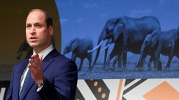 Prince William delivers a speech at the Tusk awards
