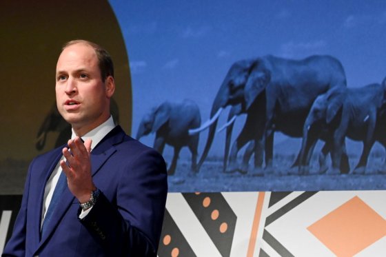 Prince William delivers a speech at the Tusk awards