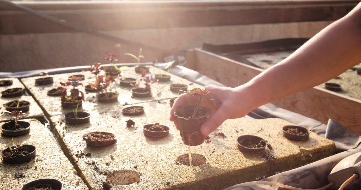 As world leaders gather at COP26, city mayors bypass politics to kickstart action