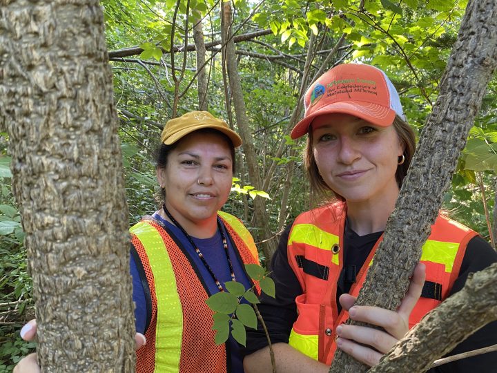 Earth Keeper Charlotte Denny (left) and Hannah Martin of the Confederacy of Mainland Mi’kmaq are part of an effort to preserve the black ash.