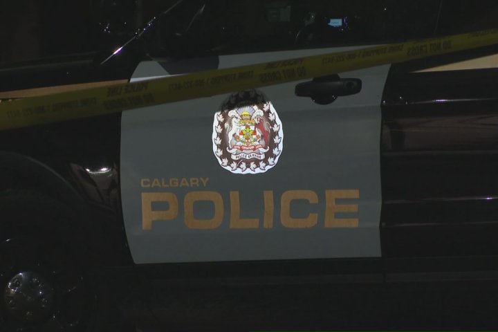 Calgary police investigate late-night hit and run turned fatal
