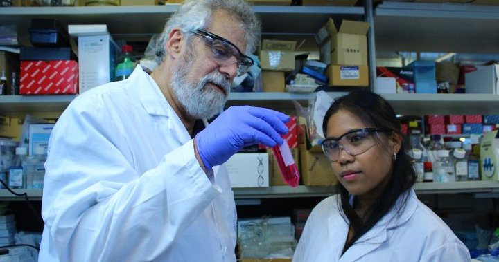 100 years since insulin discovery, Canadian scientists push for new diabetes treatments