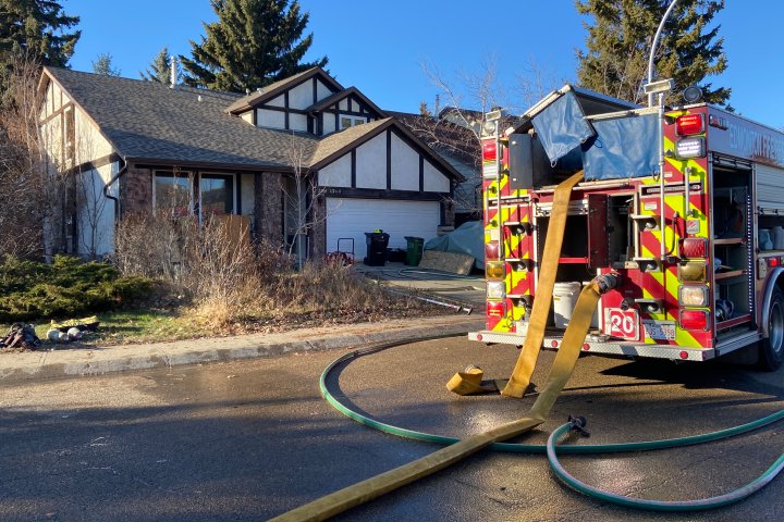 Man charged after reptiles found dead in south Edmonton house fire