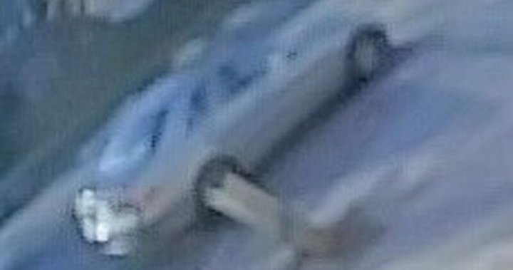 Toronto police release image of car after driver allegedly tried to convince 11-year-old girl to get in
