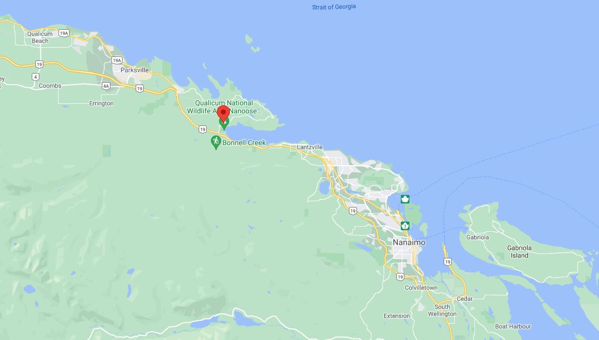 BC Emergency Health Services said the helicopter crashed near Nanoose Bay on Vancouver Island.