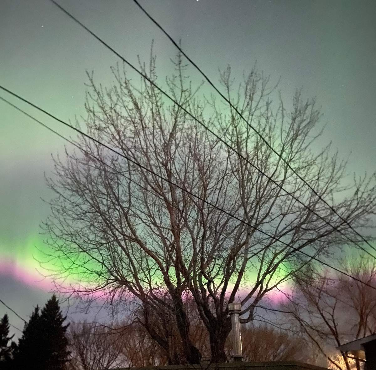 An aurora borealis spotted in St. Albert, Alta. on Thursday, Nov. 4, 2021.
