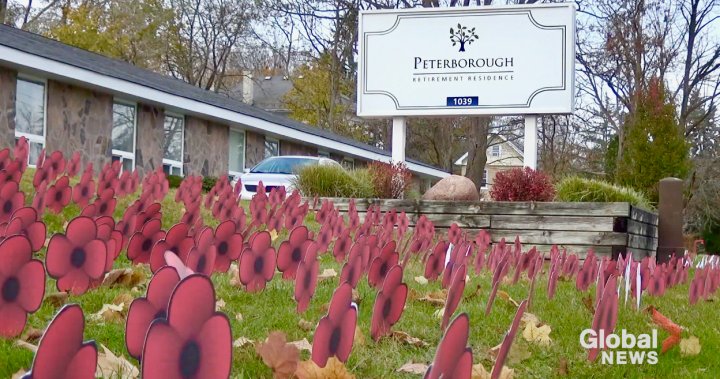 1,000 poppies line front of Peterborough Retirement Residence