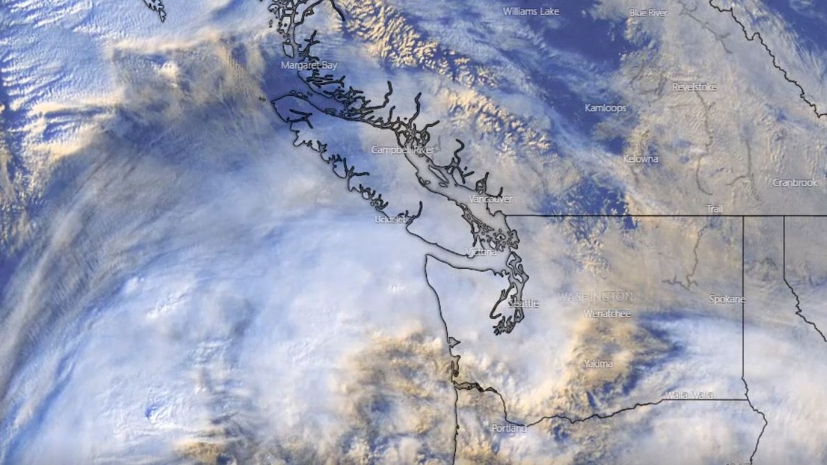 Rainfall warning, with amounts nearing 50 mm, issued for Lower Mainland - image