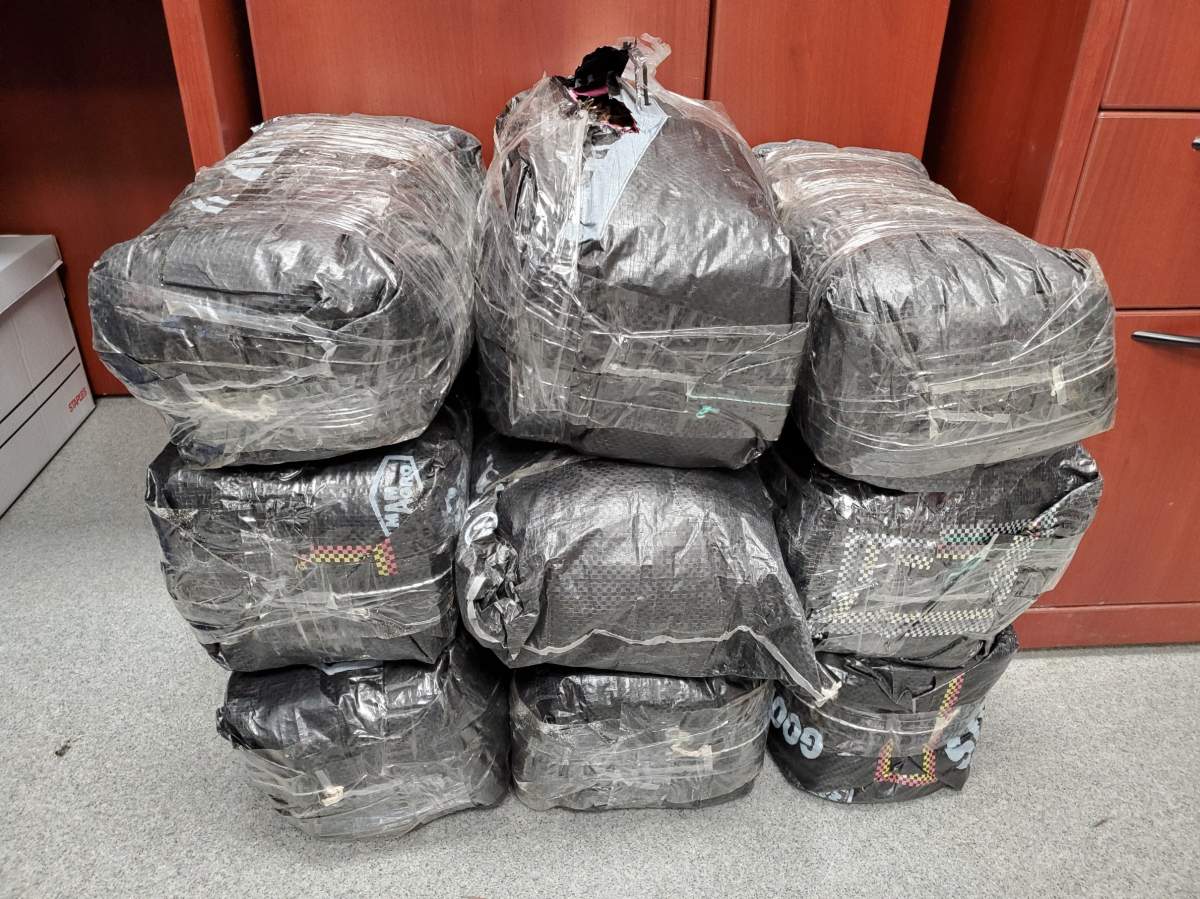 RCMP make arrests after Manitoba khat bust - image