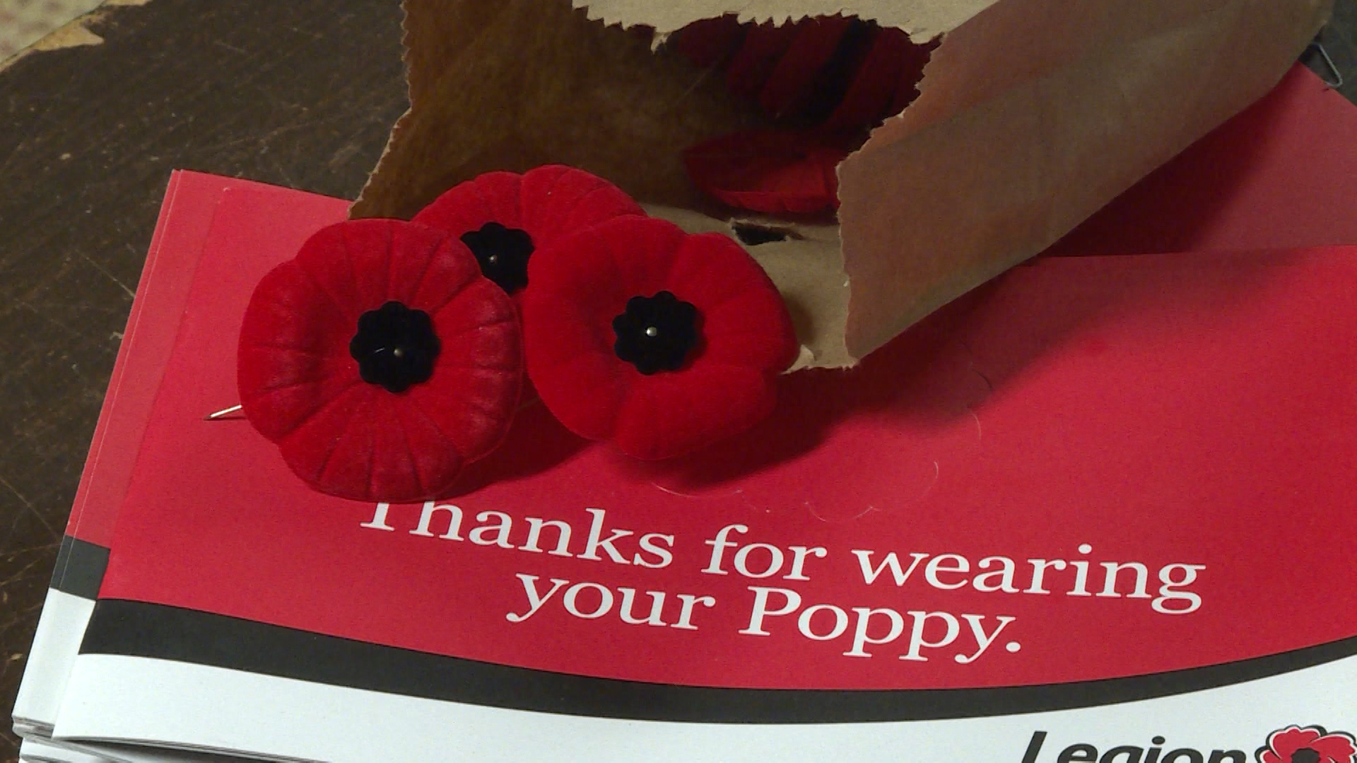 The Remembrance Poppy