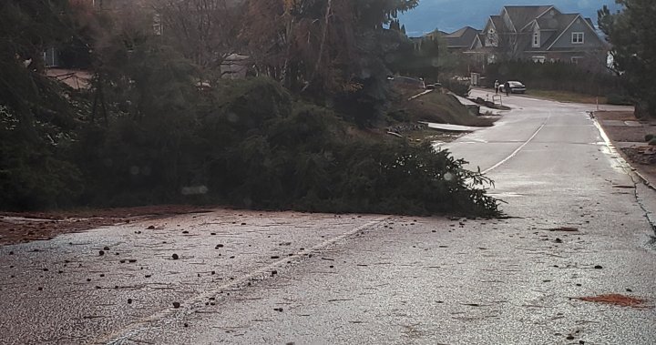 Badai menumbangkan pohon, memutus aliran listrik ke ribuan orang di Okanagan Tengah – Okanagan