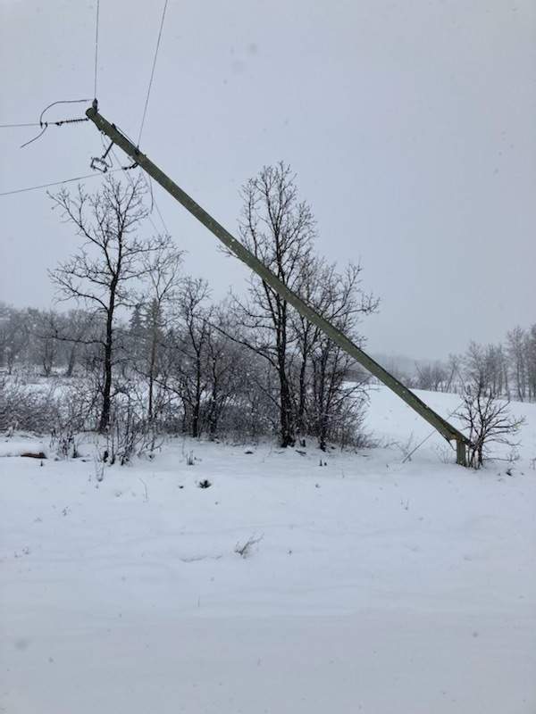 A hydro pole snapped under the weight of heavy snow near Arborg.