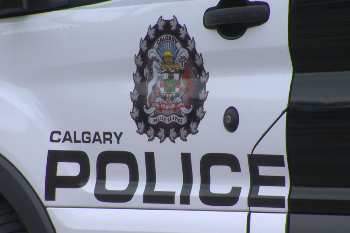 Calgary police seek tips after woman targeted in ‘unprovoked attack’ in Nose Hill Park