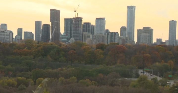 Why the fall foliage looks less vibrant this year in southern Ontario